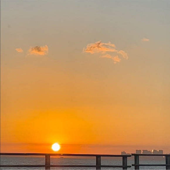 Meet your Posher, Luna - Picture 1 of 1